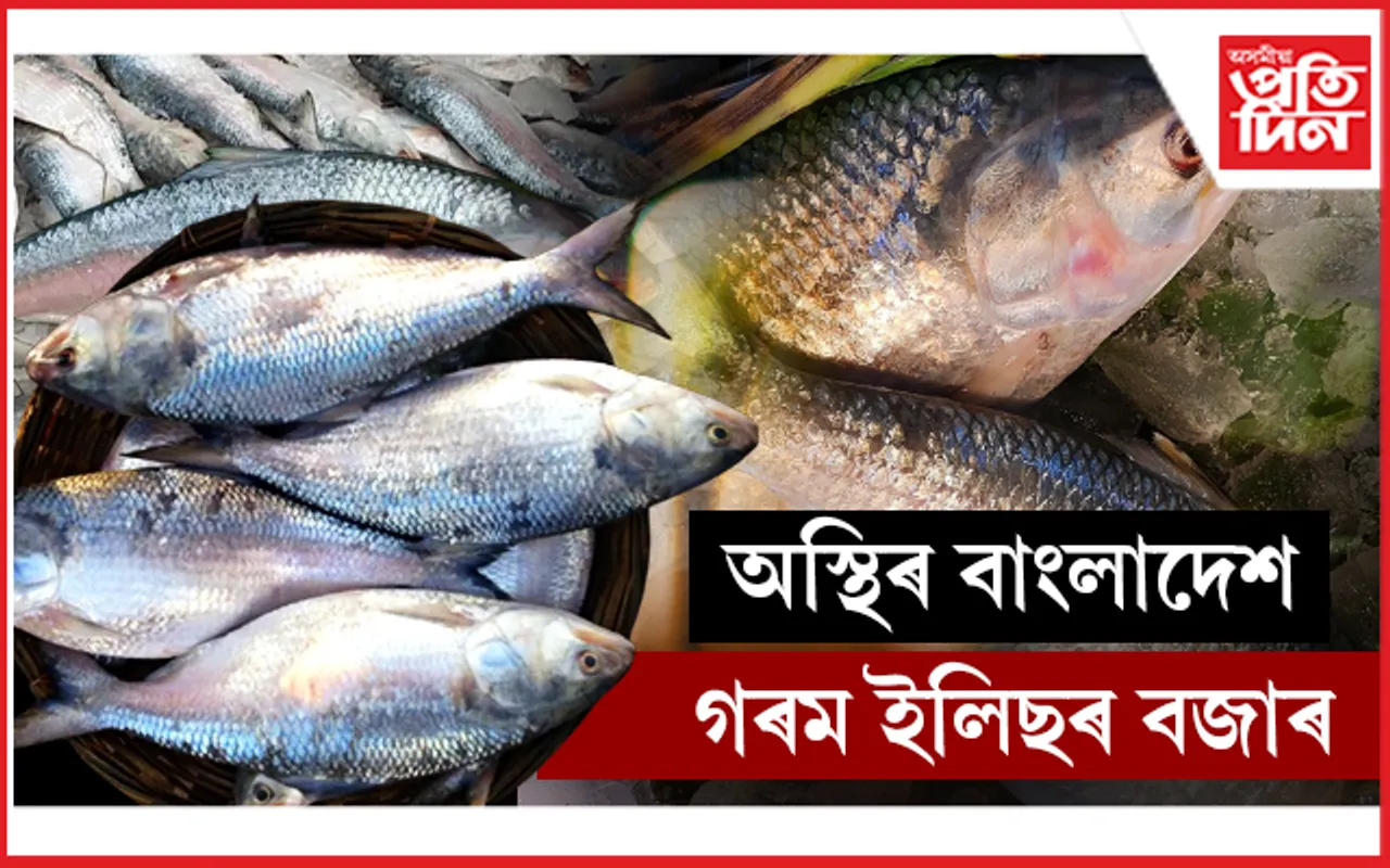 বিশ্ববজাৰত চাহিদা অনুসৰি নাই ইলিছৰ যোগানঃ সুযোগ লোৱাত ব্যৰ্থ ভাৰত....
